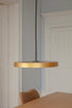 Asteria Pendant Light