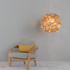 No.1 Giant Pendant Light